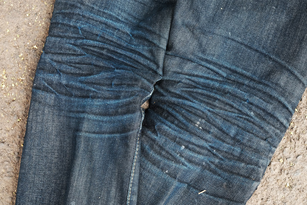 Carnivores Soul Tigris (6 Months, 0 Washes) - Fade of the Day