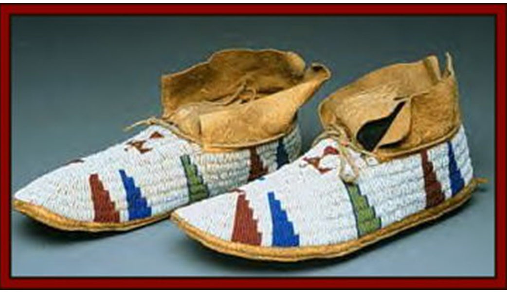 the moccasin