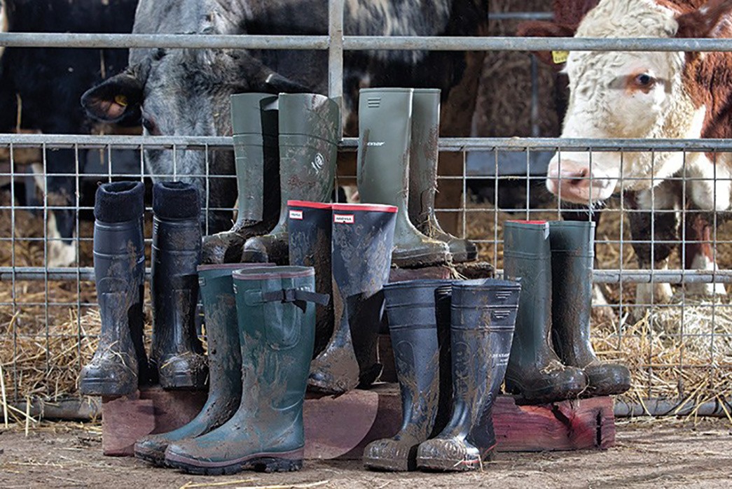 History of Wellington Boots: From 