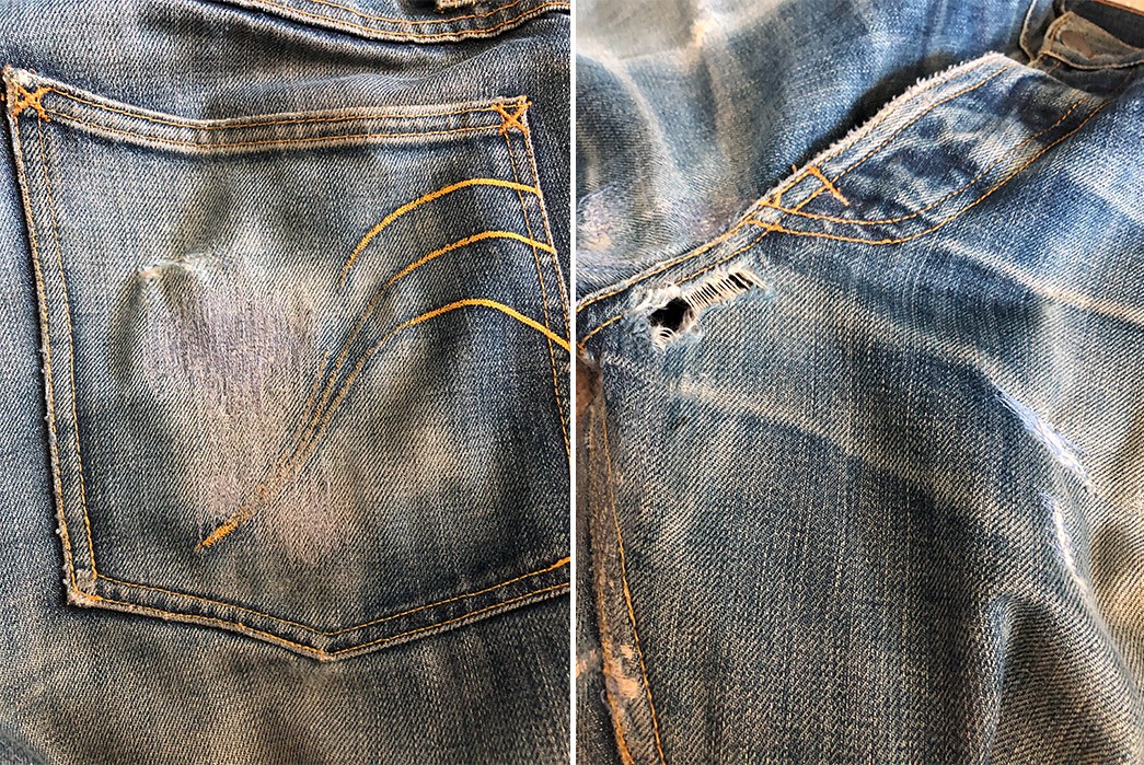 Fade of the Day - Imperial Duke (4 Years, 4 Washes, 1 Soak)